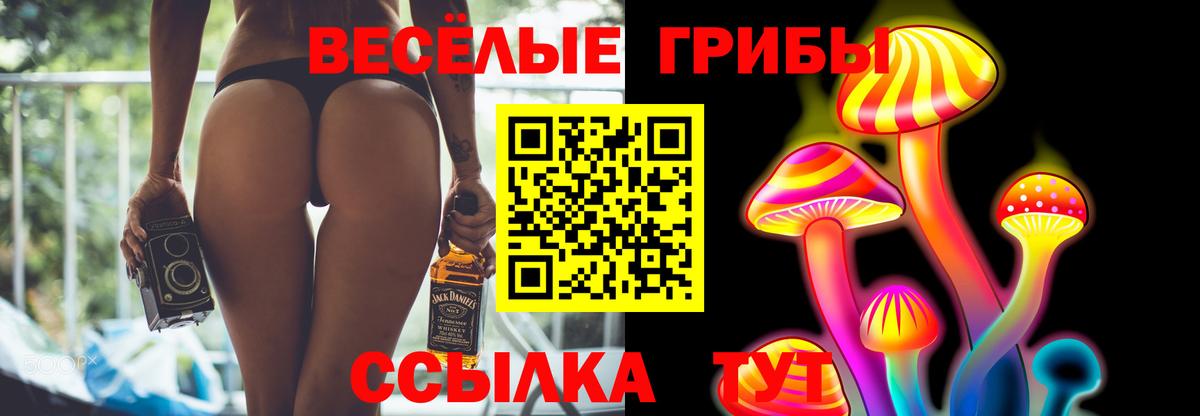 цены наркотик  Вход с VPN  Псилоцибиновые грибы Psilocybine cubensis  Йошкар-Ола  Псилоцибиновые грибы MAGIC MUSHROOMS 